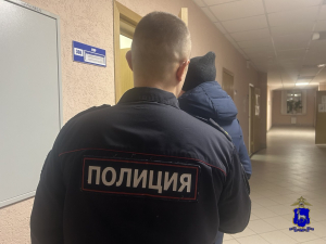 В Самарской области задержан подозреваемый в хищении 350 тысяч рублей у жительницы Сызрани по указанию анонимного куратора