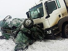 В Воронежской области фура с прицепом влетела в «Ладу»: погибли 2 человека