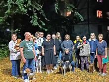 Более 50 пострадавших: в Самаре неизвестные массово отравили домашних питомцев