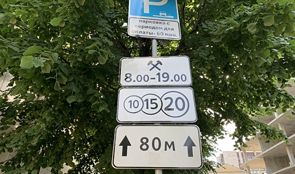 За неоплату парковки в центре Воронежа выписали 392 штрафа, 28 из них уже оплатили
