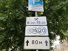 За неоплату парковки в центре Воронежа выписали 392 штрафа, 28 из них уже оплатили