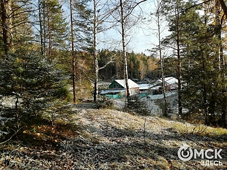 Село на севере Омской области планируют сделать брендом России