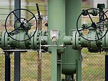 Япония нашла замену российскому газу
