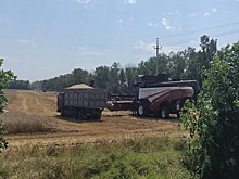 Сбор зерна в России в 2021 году достиг 115,4 млн тонн