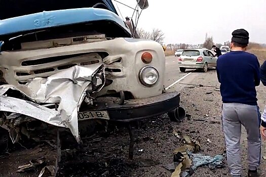 Правительство Киргизии ужаснулось числу погибших в автоавариях