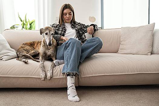 Россиян предупредили об угрожающих изъять домашних животных мошенниках