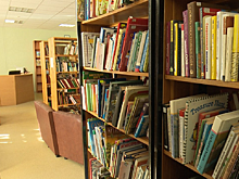 Детская библиотека Карелии закрыла свои двери для читателей