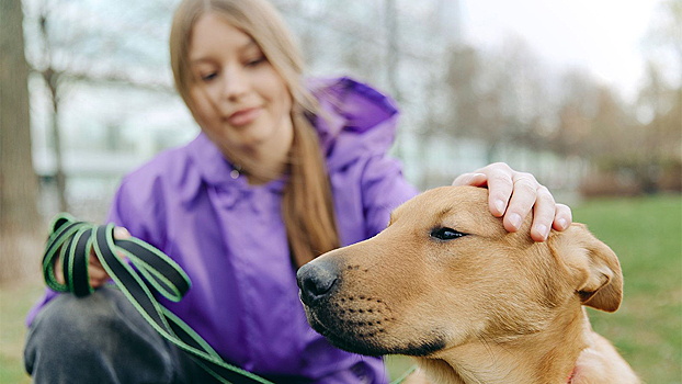 Юные «активные граждане» Москвы примут участие в викторине о помощи животным