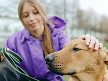 Юные «активные граждане» Москвы примут участие в викторине о помощи животным