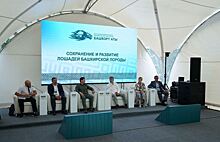 Институт мирового уровня по изучению башкирской лошади создадут в Башкортостане