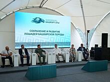 Институт мирового уровня по изучению башкирской лошади создадут в Башкортостане