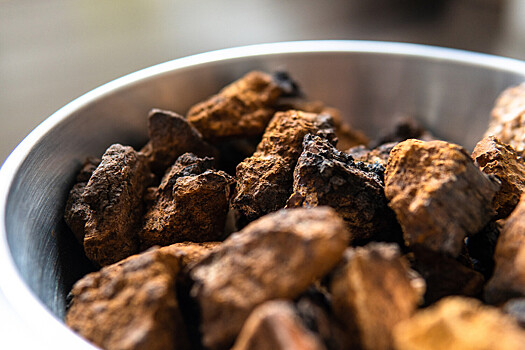 Врач Болков: в грибах содержится аминокислота, которая может отсрочить старение