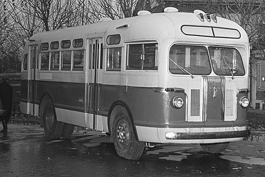 «Кричали: "Мультики приехали!"»