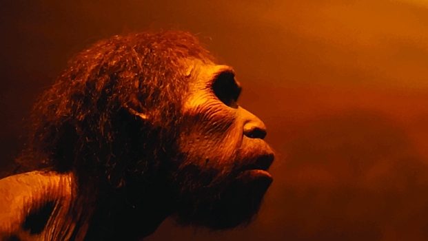 Как 900 000 лет назад предки Homo sapiens оказались на грани полного вымирания