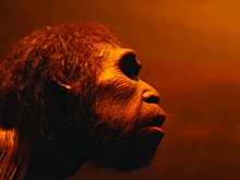 Как 900 000 лет назад предки Homo sapiens оказались на грани полного вымирания