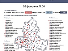 По числу новых зараженных COVID-19 лидируют Ростов и Неклиновский район
