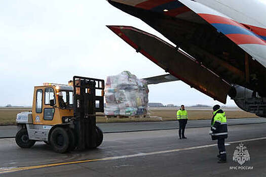 МЧС: спецборт министерства доставил 25 тонн гуманитарной помощи в Египет