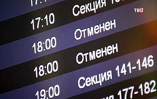 В Госдуме предложили возвращать деньги пассажирам задержанных авиарейсов