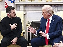На Украине рассказали о проблеме в отношениях Трампа с Зеленским