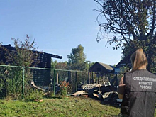 В Воскресенском округе расследуют гибель двух людей на пожаре
