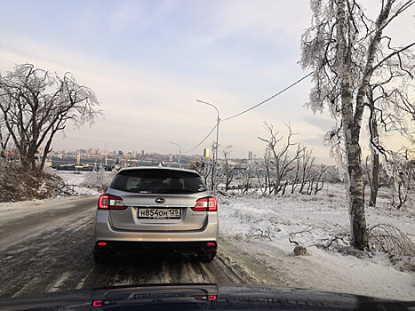 Закрытые на острове: очередь на паром до Владивостока занимают с самого утра