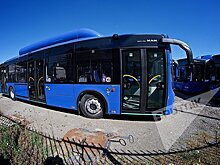 Мэрия Тбилиси снова заменила старые автобусы на новые