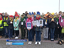 Закрепить знания о правилах дорожного движения детям помогает конкурс «Безопасное колесо»