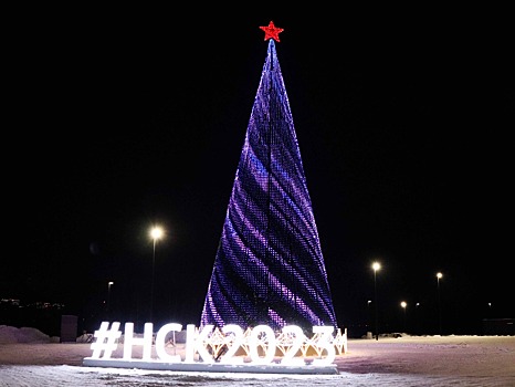 Ёлочка гори: новосибирские энергетики организовали подключение объектов парка «Арена» в канун Нового года