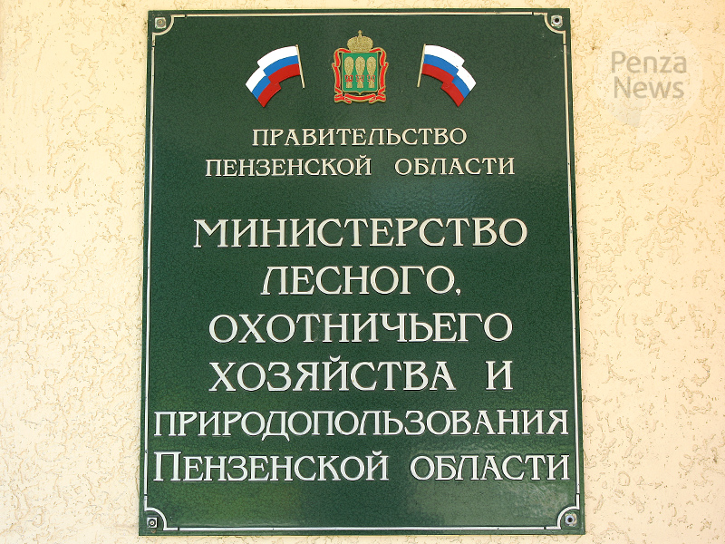 В Пензенской области выявлено два факта незаконной рубки деревьев