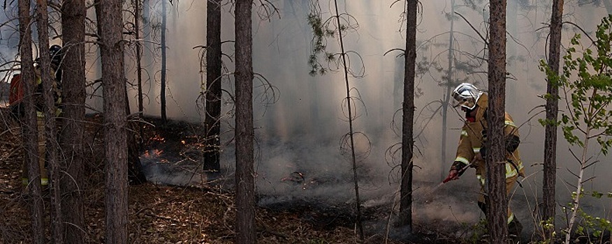 В Красноярском крае на 16 августа потушили все лесные пожары
