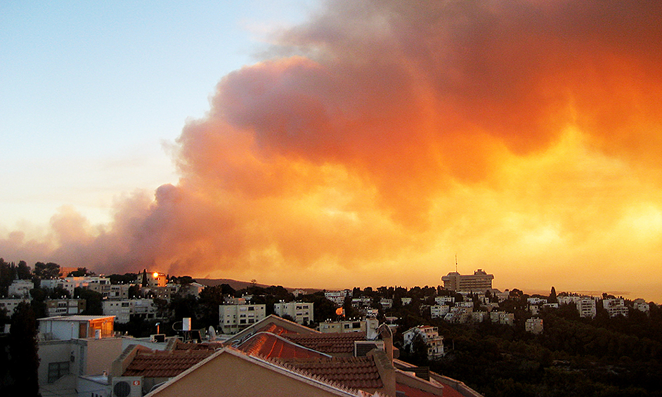 10 лет назад крупный лесной пожар вспыхнул в заповеднике под Хайфой в Израиле.