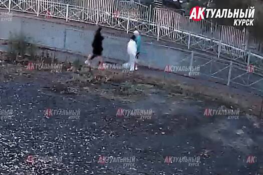 В России подросток одним ударом нокаутировал женщину и попал на видео