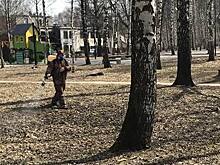 В Нижнем Новгороде продолжается антиклещевая обработка
