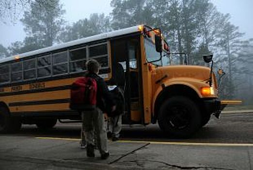 Владимирская область получит школьные автобусы и автомобили скорой помощи