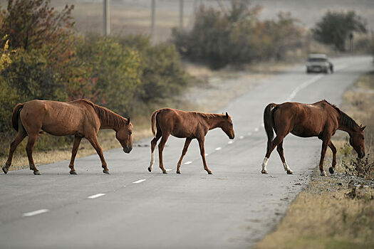 Самое крупное водохранилище Крыма наполнилось водой