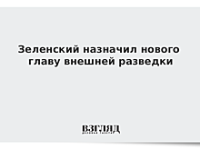 Зеленский назначил нового главу Службы внешней разведки