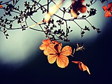 30 сентября — святые мученицы, инкунабула, театр и кино