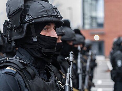 МВД РФ опровергло сообщения о формировании штурмовых батальонов