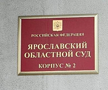 Порядок избрания мэра Ярославля оспорили в суде