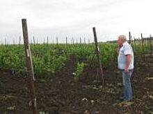 Не время для «малышей». Мелкие фермерские хозяйства уходят с рынка