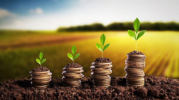 Промышленное производство Египта должно составить $250 млрд для достижения экспортных целей