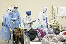 Три способа не умереть от китайского коронавируса подсказал микробиолог из РФ