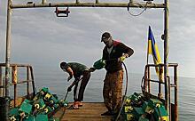 Керченский пролив: Украинских «Кентавров» встретит не флот, а «Татарская петля»