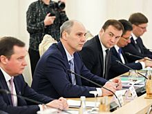 Денис Паслер поделился планами сотрудничества с африканскими странами на заседании Совета глав субъектов РФ при МИДе