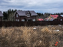 Многодетным семьям Прикамья дают выбор: взять у муниципалитета земельный участок или деньги