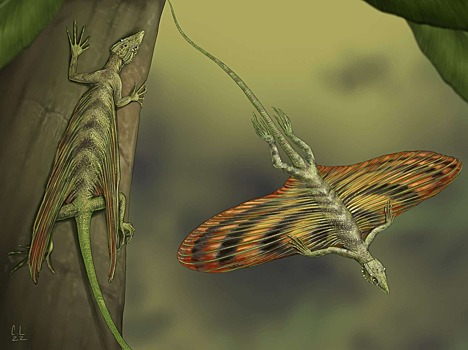 Стала известна причина появления крылатых рептилий