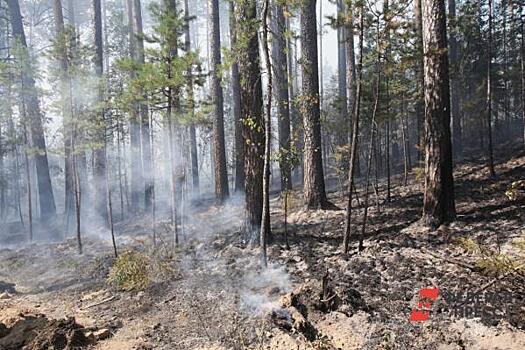 В нацпарке Челябинской области закрыли бесплатные стоянки