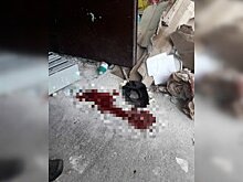 «Лежал в луже крови»: в Башкирии мужчина упал замертво возле подъезда