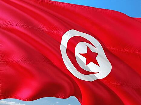 Россия представит на выставке в Тунисе средства защиты растений в числе прочих товаров