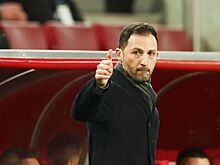 Сборная Бельгии по футболу под руководством Доменико Тедеско обыграла Швецию и Германию, реакция СМИ